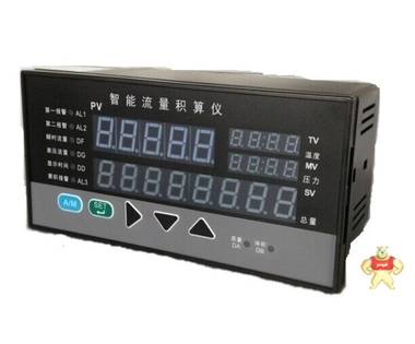 TDS8000流量积算仪 