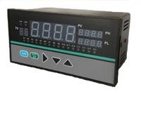 TDS5800多点巡回检测报警仪