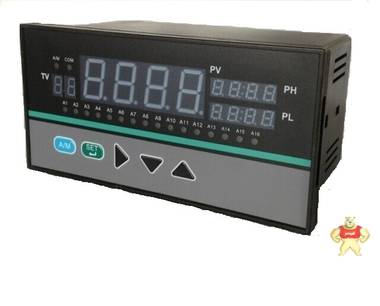 TDS5800多点巡回检测报警仪