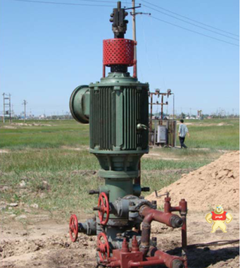 螺杆泵抽油机用直驱永磁电机系统 