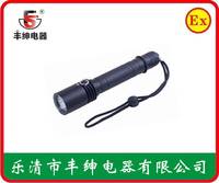 BW7300A固态强光防爆电筒/LED手电筒