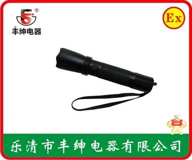 BW7300A固态强光防爆电筒/LED手电筒 