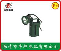 泛光灯/FW6100GF防爆泛光工作灯