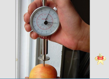 ALX螺旋式立卧测试架 