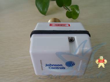 现货 Johnson江森 FS80-C 水流开关液体流量开关控制器水流传感器 