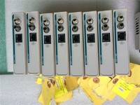 原装进口 西屋DCS卡件 1C31204G01 1C31204G01