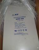 光宇GFM-300 哈尔滨光宇蓄电池 2v300ah 2v高温蓄电池 ups蓄电池 北京中达科技