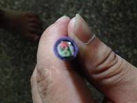 德国原装进口西门子DP电缆 6XV1830-0EH10   可开增值税发票