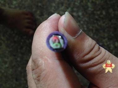 德国原装进口西门子DP电缆 6XV1830-0EH10 可开增值税发票