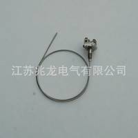 廠家出售 WRNK-101鎧裝熱電偶  耐腐食品熱電偶 常壽命