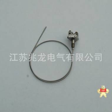 廠家出售 WRNK-101鎧裝熱電偶  耐腐食品熱電偶 常壽命 