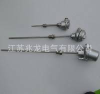 廠家供應(yīng) SBWZP2-231雙支一體化熱電阻 貼片式熱電阻系列