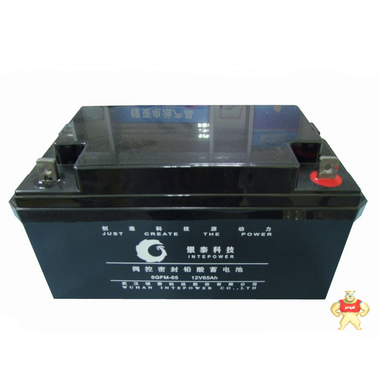 银泰蓄电池6GFM-65 12V65AH 武汉银泰蓄电池 