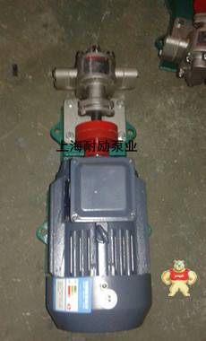 KCB齿轮泵 不锈钢齿轮油泵 防爆齿轮泵 KCB-55 