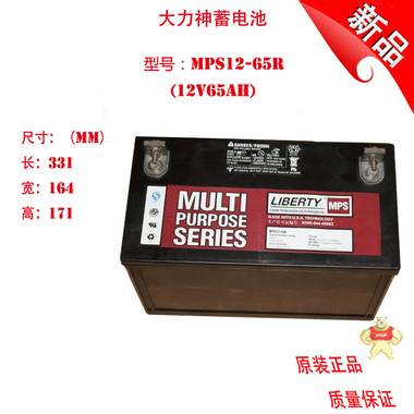 大力神MPS12-65电池MPS系列65AH免维护蓄电池ups专用蓄电池 工业UPS电源蓄电池 