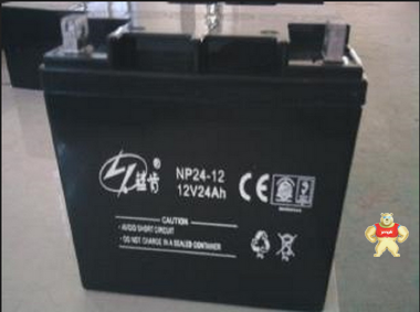 蓝肯蓄电池NP24-12 UPS电源蓄电池 