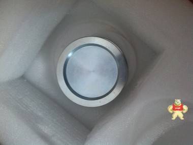 进口RL8C2P1SS-50Klb,RL8C2P1SS-100Klb美国RICE LAKE称重传感器