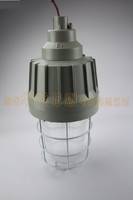 NFE180防爆平台灯 深圳华荣防爆