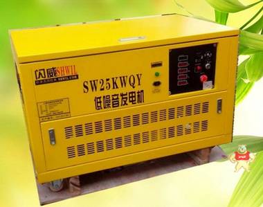 25KW汽油发电机 全自动汽油发电机 上海闪威发电焊机工厂 