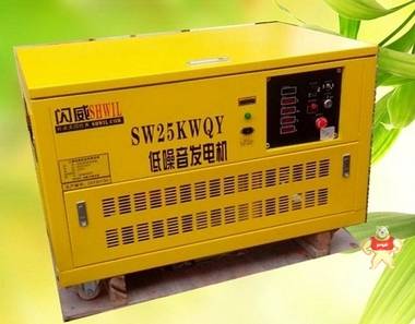 超静音25KW大功率汽油发电机组 上海闪威发电机厂家 