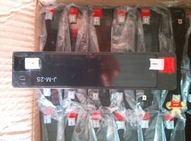 圣豹蓄電池6V10Ah  20小時(shí)率 