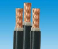 生產(chǎn)銷售廠家直銷國標交聯(lián)電力電纜 YJV-0.6/1KV 安徽徽寧遠程測控科技有限公司