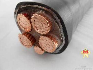 廠家直銷國標(biāo)VV-22-0.6/1KV鎧裝電力電纜 安徽徽寧遠(yuǎn)程測控科技有限公司 