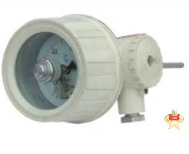 常州双环 双金属温度计WSS411径向,1.5级,表面100mm,50℃,300℃ 