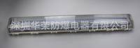 BYD705系列 防爆防腐全塑荧光灯 三防全塑日光灯 T8双脚荧光灯管 深圳华荣防爆