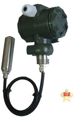 DTR136不锈钢投入式液位变送器 尾线 5m,可选现场显示 特价直销 