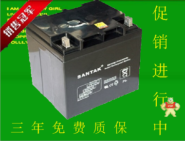 SANTAK/山特 6-GFM-24蓄电池12V24AH UPS电源专用  质保一年 