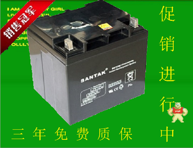 SANTAK/山特 6-GFM-24蓄電池12V24AH UPS電源專用  質保一年 