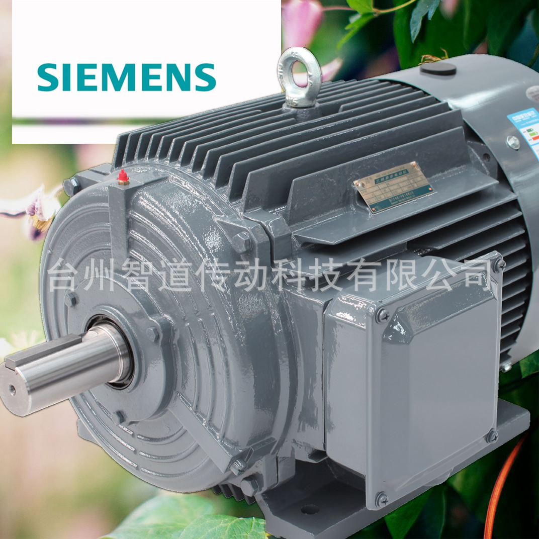 SIEMENS/西门子 西门子贝得电机1TL0001-1BB2 4极4KW 高效变频三相异步电动机 西门子电机代理商 西门子电动机