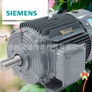 SIEMENS/西门子 西门子贝得电机1TL0001-1DB4 4极15KW 高效变频三相异步电动机 西门子电机代理商 西门子电动机 