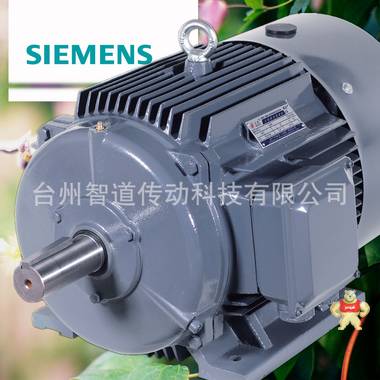 SIEMENS/西门子 西门子贝得电机1TL0001-0DB3 4极0.75KW高效变频三相异步电动机 西门子电机代理商 西门子电机 