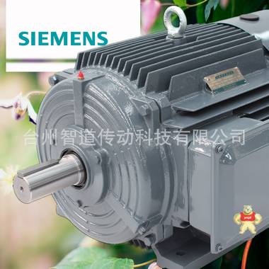 SIEMENS/西门子 西门子贝得电机1TL0001-3AA7 2极200KW 高效变频三相异步电动机 西门子电机代理商 西门子电动机 