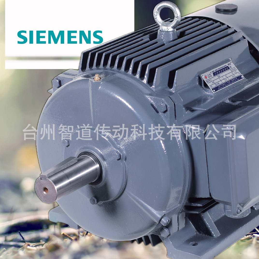 SIEMENS/西门子 西门子贝得电机1TL0001-3AB5 4极160KW 高效变频三相异步电动机 西门子电机代理商 西门子电机