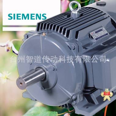 SIEMENS/西门子 西门子贝得电机1TL0001-3AA7 2极200KW 高效变频三相异步电动机 西门子电机代理商 西门子电动机 