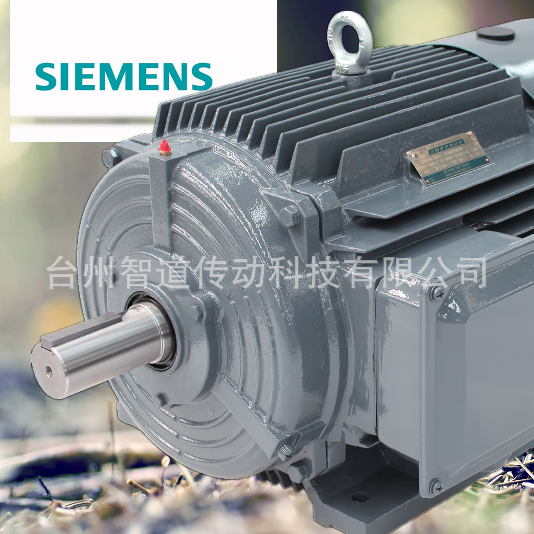SIEMENS/西门子 西门子贝得电机1TL0001-3AB5 4极160KW 高效变频三相异步电动机 西门子电机代理商 西门子电机