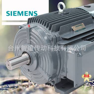 SIEMENS/西门子 西门子贝得电机1TL0001-2DB2 4极90KW 高效变频三相异步电动机 西门子电机代理商 西门子电动机 