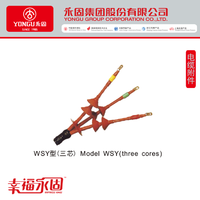 户外10KV三芯电缆终端头WSY-10/3.1热缩交联终端WSY 20-50平方