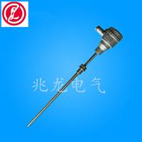 廠家供應(yīng) SBWZP2-231雙支一體化熱電阻 貼片式熱電阻系列