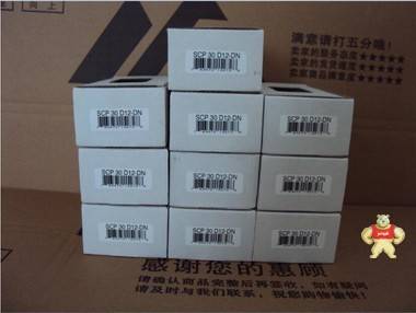 SOLA电源SCP30D12-DN