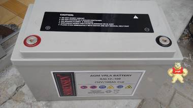 索润森蓄电池SAL12-100 北京德尔顿电子科技 