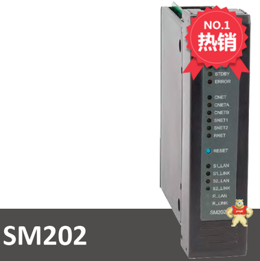 SM202和利时模块 亿顺网络工程 