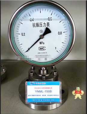天康牌高品质保证 隔模压力表0-100MPA 安徽天沐自动化仪表有限公司 