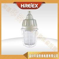 NFE180防爆平台灯 深圳华荣防爆