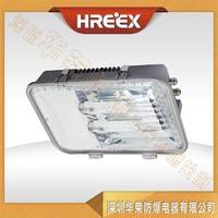 GF9040节能泛光灯 深圳华荣防爆