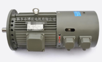 供应F级大扭矩   YLJ  YLJF  收卷用力矩电机  卷筒专用力矩电机