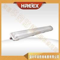 BYD705系列 防爆防腐全塑荧光灯 三防全塑日光灯 T8双脚荧光灯管 深圳华荣防爆